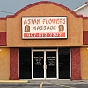 Asian Flowers