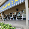 Sunflower Spa