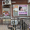 Sakura SPA