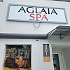 Aglaia