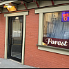 Forest Spa
