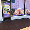 Camellia Massage