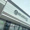 Reflexology plus