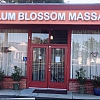 Plum Blossom Massage