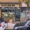 Olive Leaf Spa